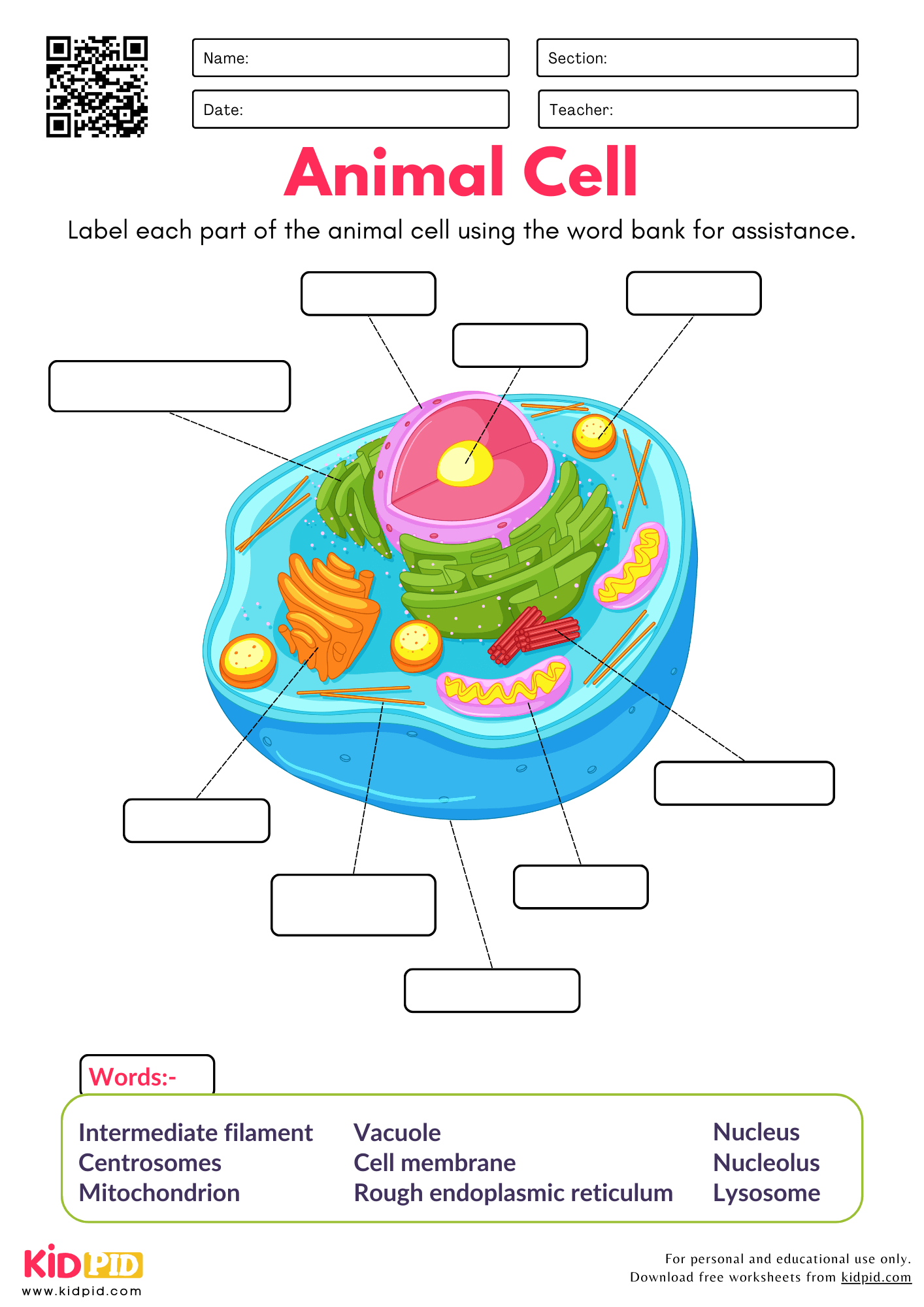 Label Parts Of Animal Cell Worksheet Kidpid Label Parts Of Animal Cell Worksheet Kidpid