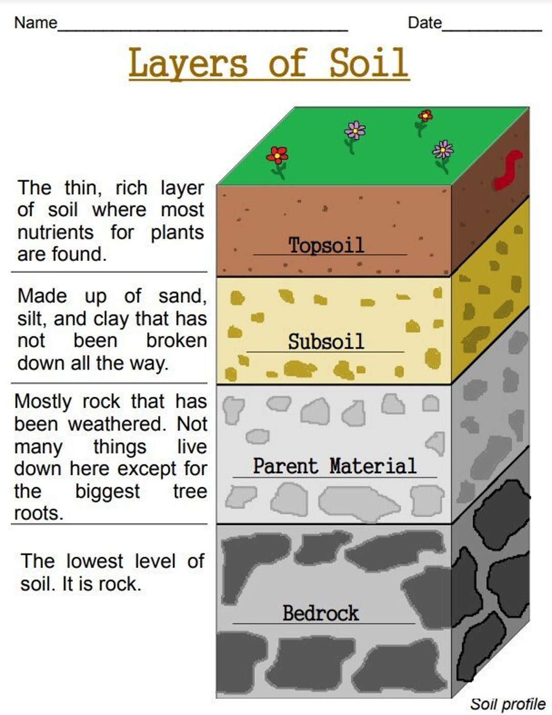 Layers Of Soil Printable Worksheets Digital Download Earth Science Pages Etsy
