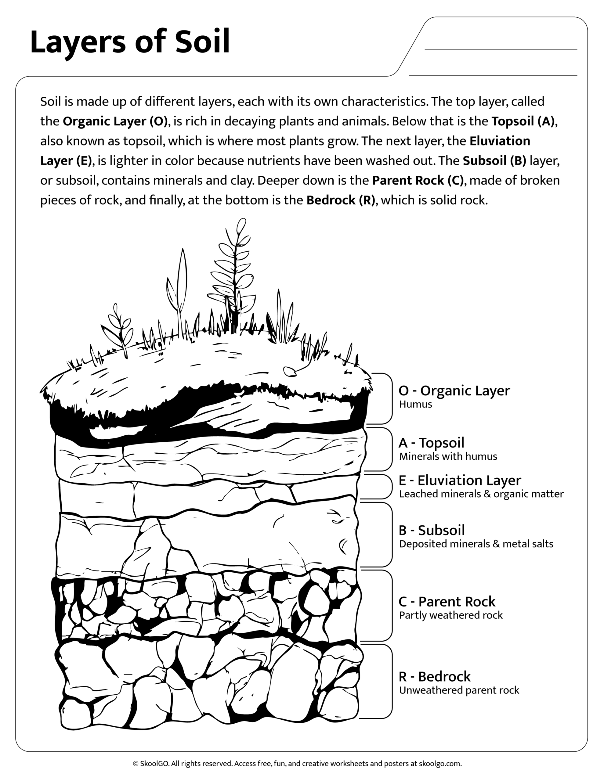 Layers Of Soil SKOOLGO