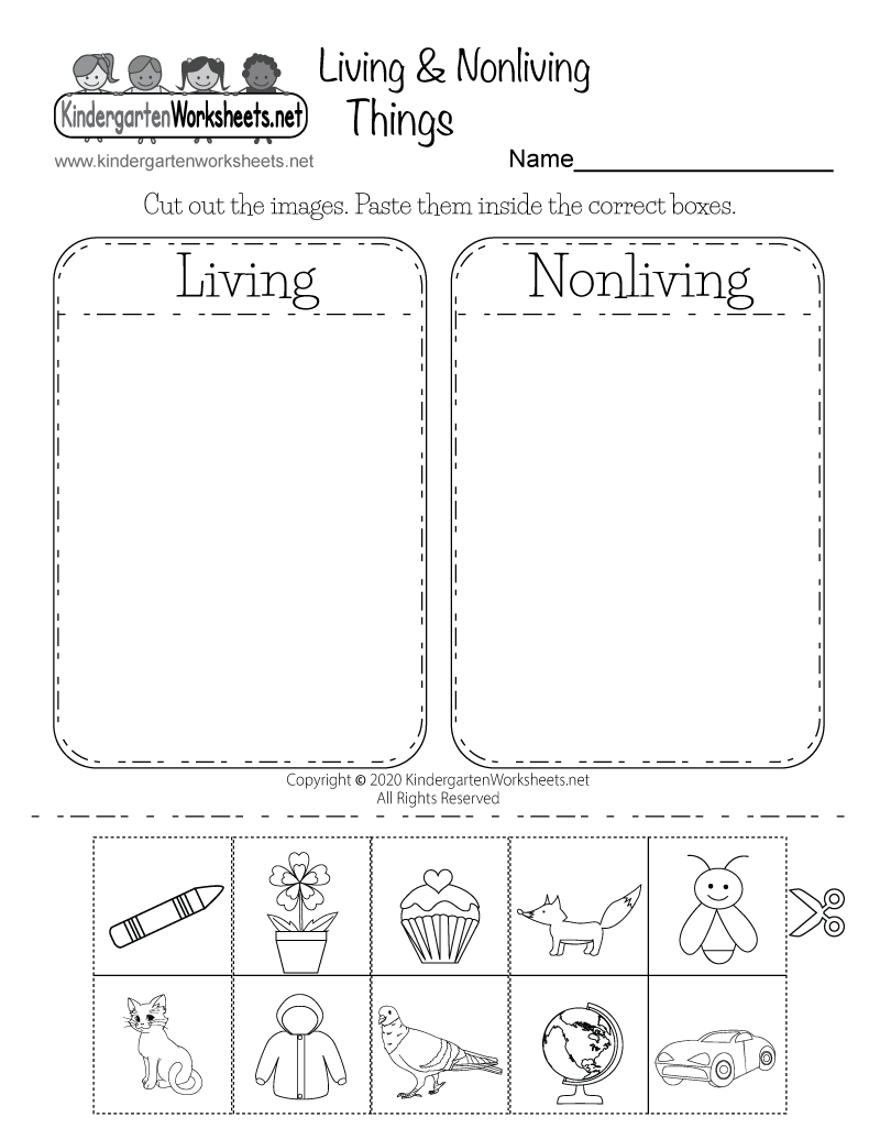Free Printable Science Worksheets For Kids