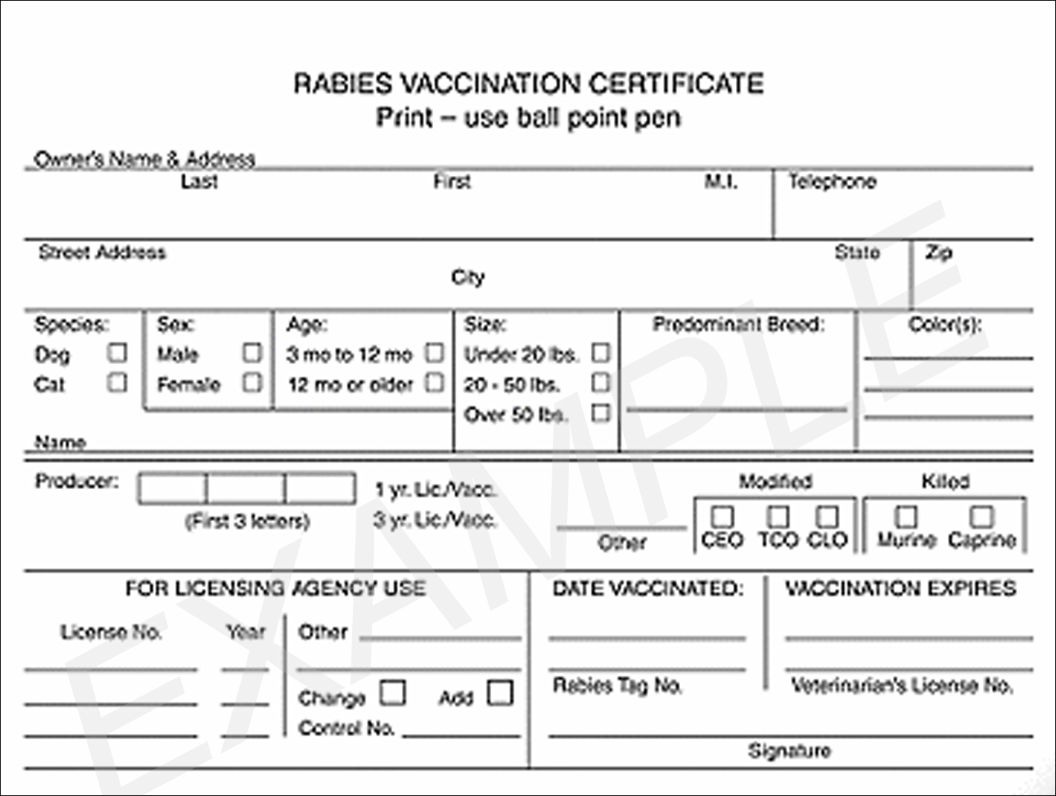 Lost Rabies Certificate Clearance