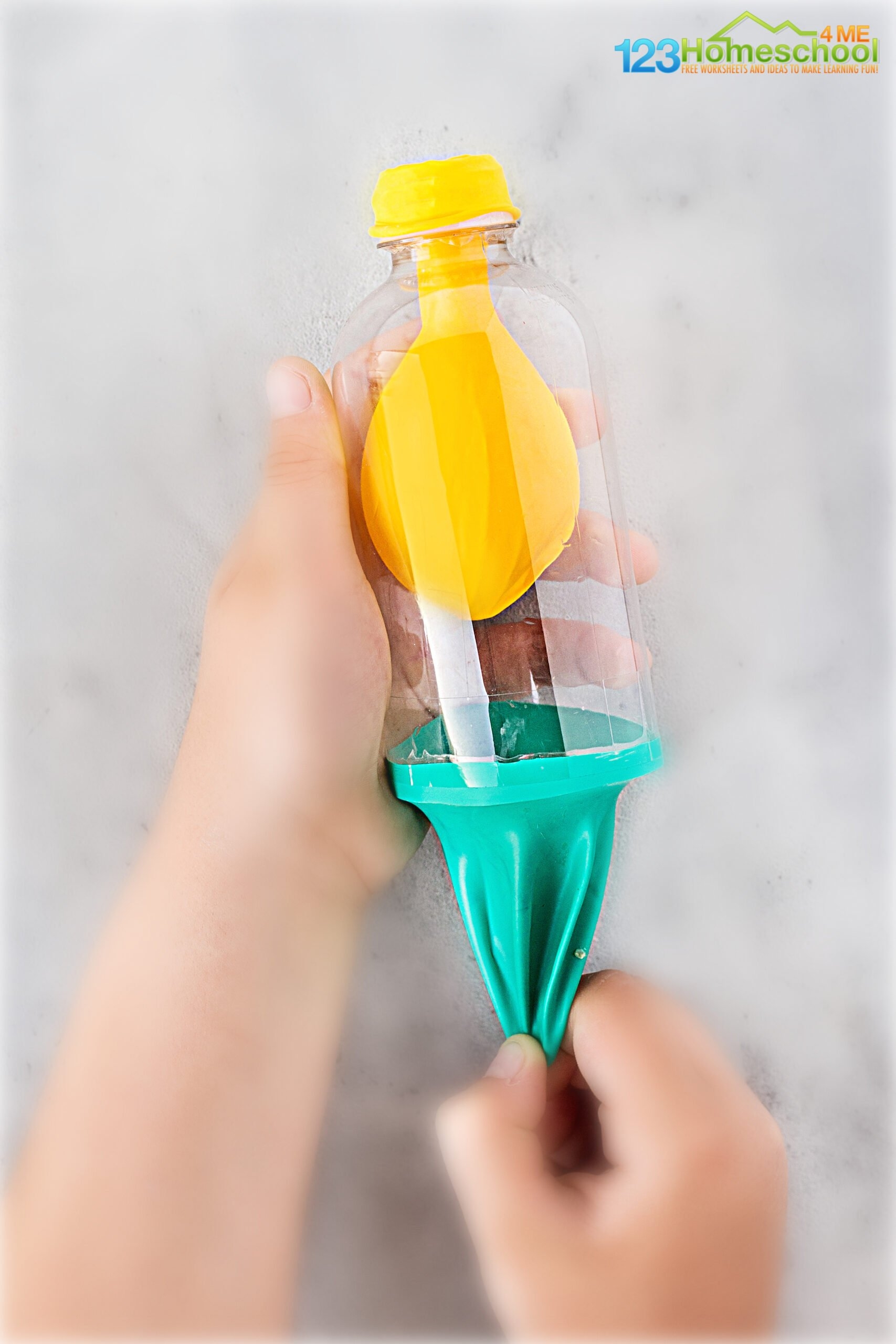 Lungs Model For Kids