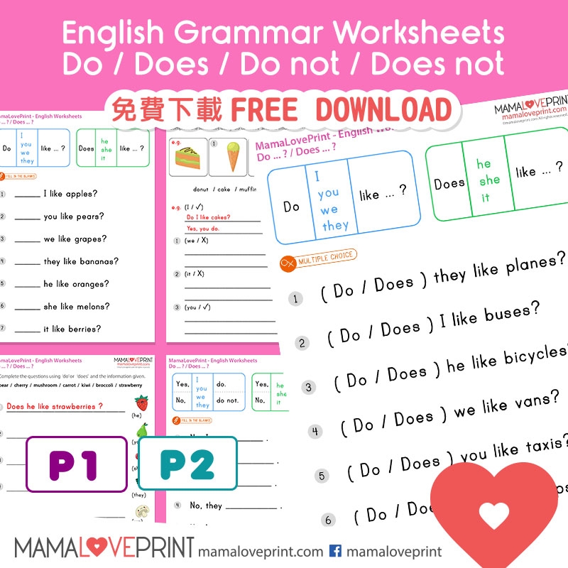 MamaLovePrint Grade 1 English Worksheets Basic Grammar Can 
