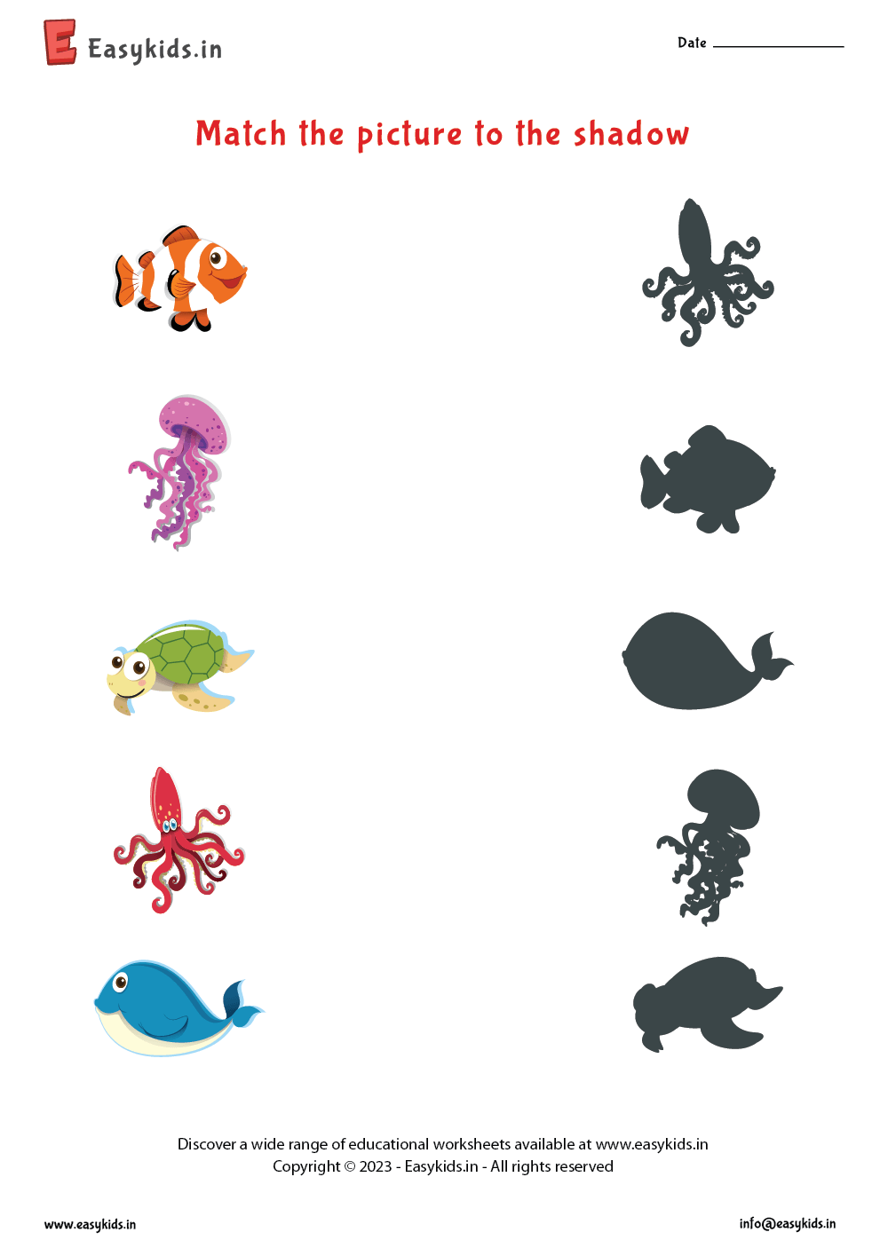 Match The Picture To The Shadow Worksheet