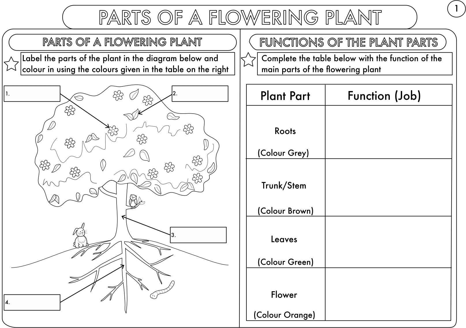 Free Printable Science Worksheets Ks1