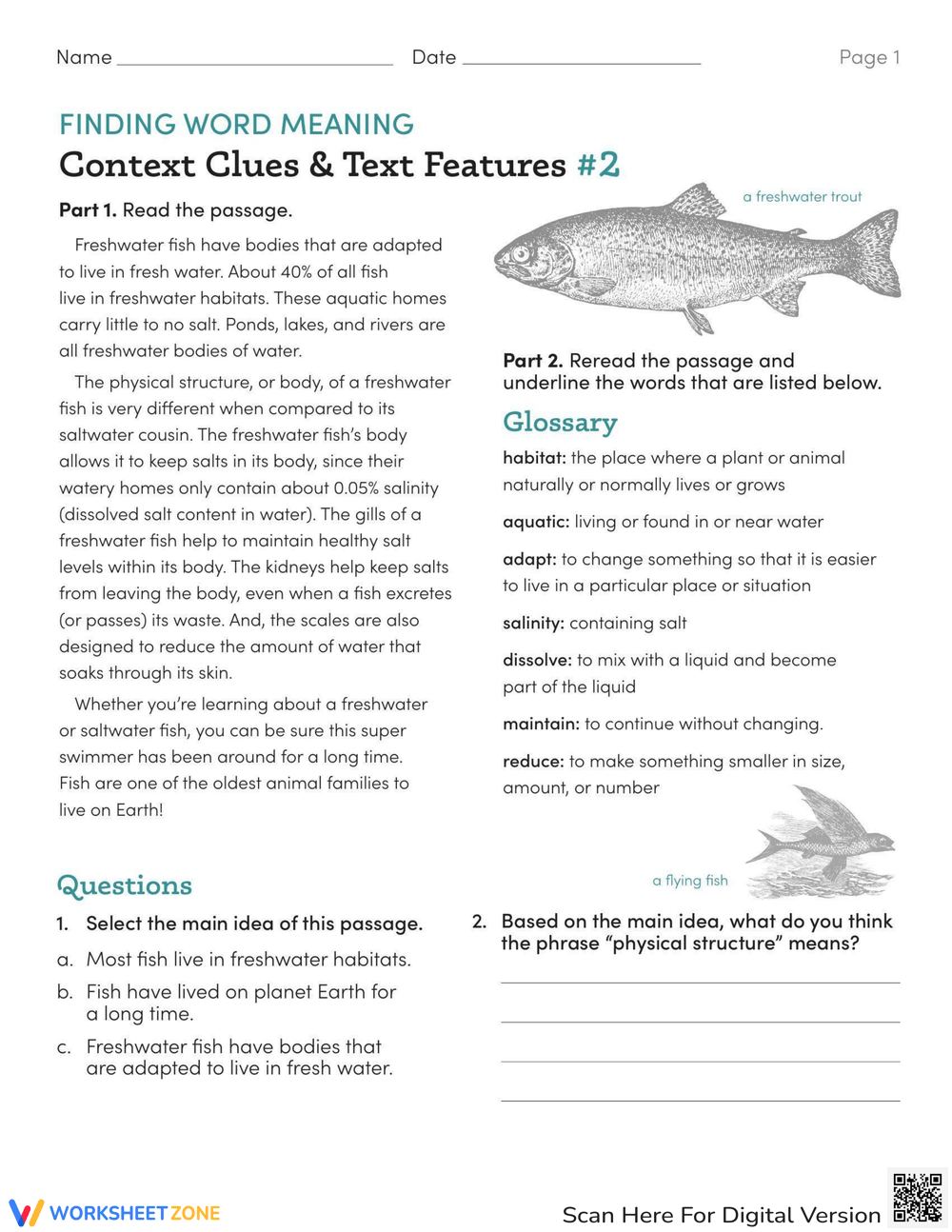 Nonfiction Comprehension Worksheet