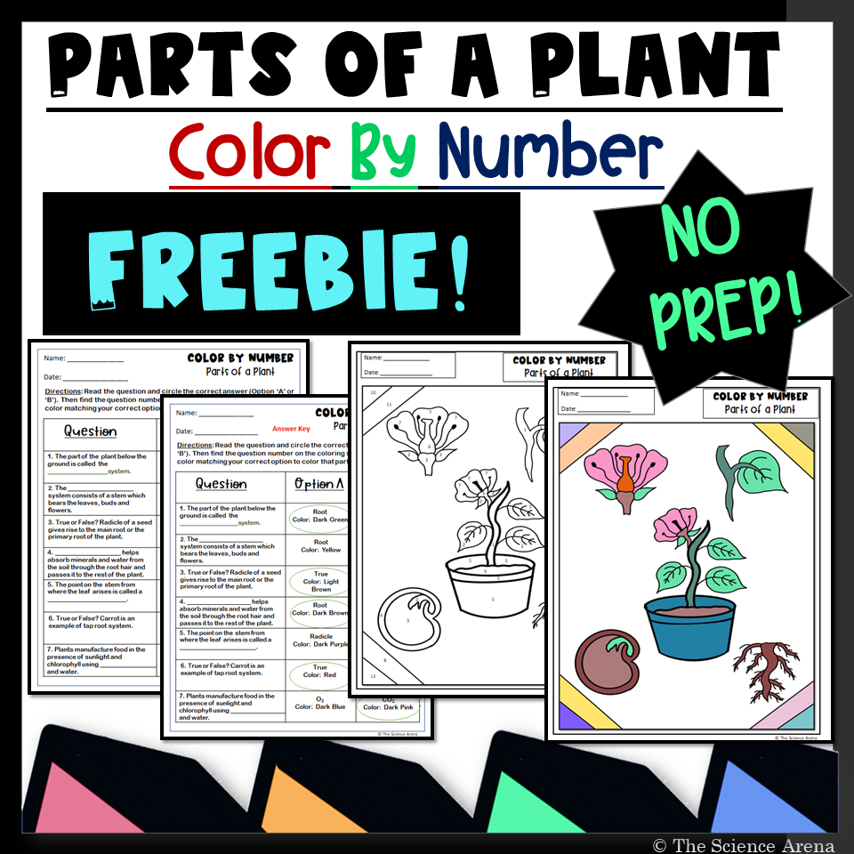Parts Of A Plant Color By Number FREE Science Activity Science Coloring Worksheets Made By Teachers