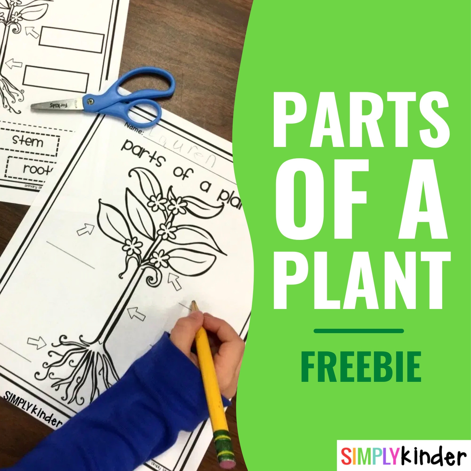 Free Printable Worksheets On Plants