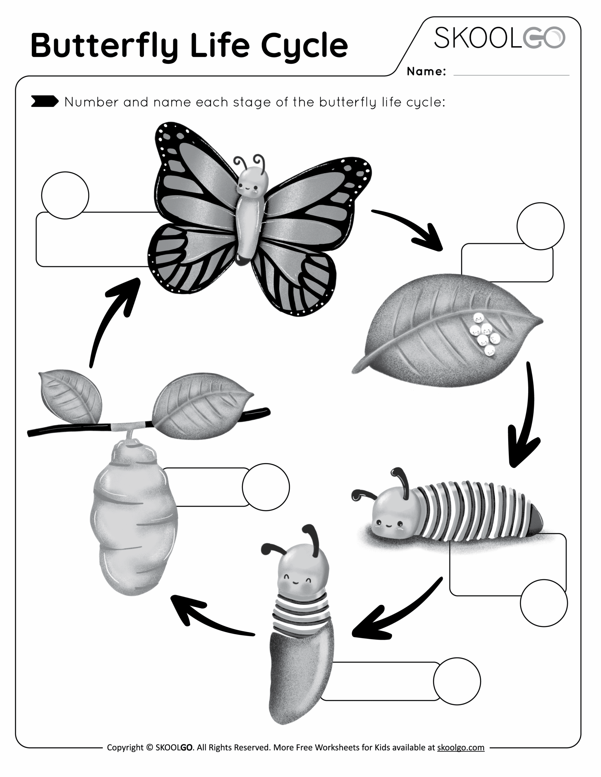 Plant Life Cycle Worksheet Cut And Paste Teach Starter Worksheets Library