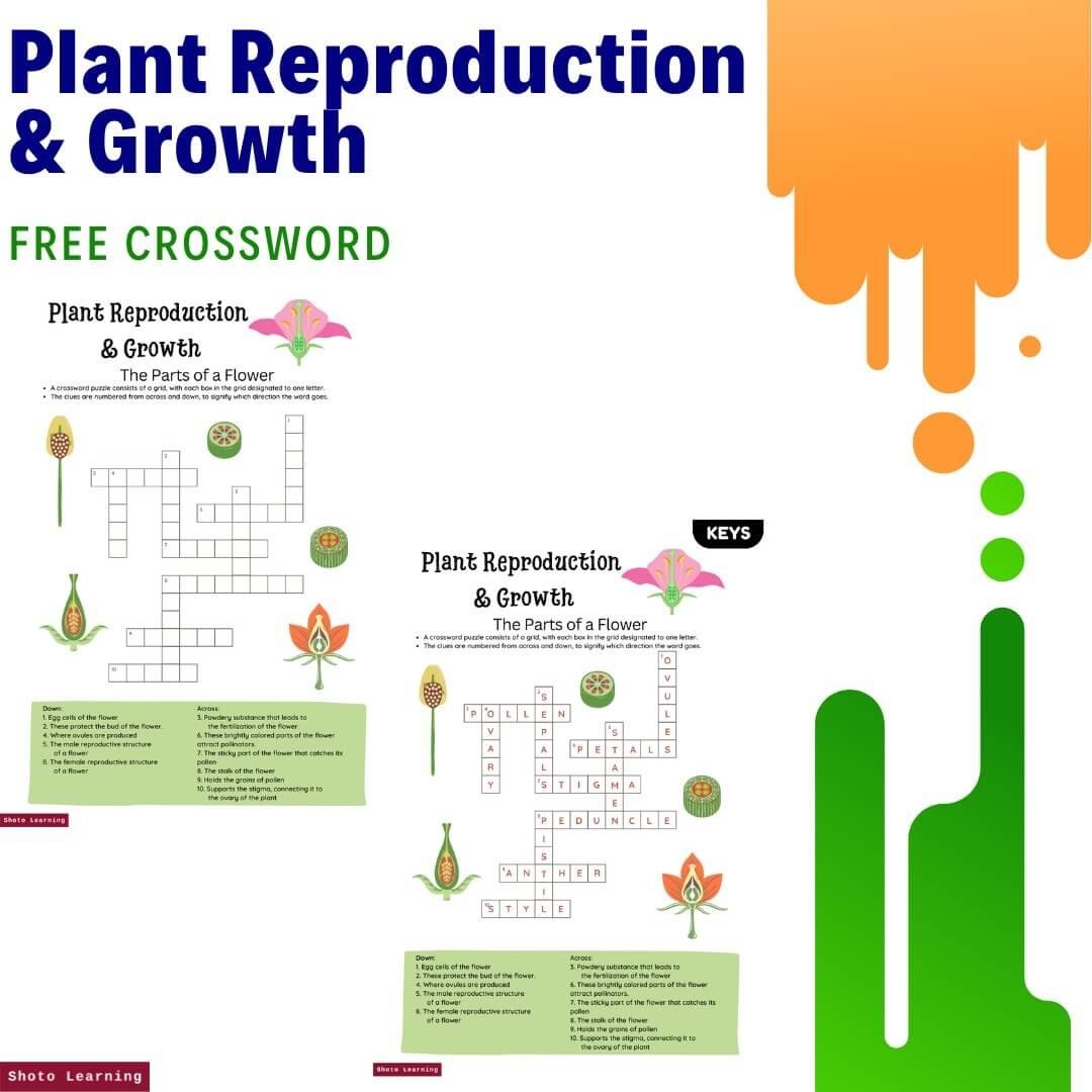 Plant Reproduction U0026 Growth Worksheet Fun Matching Activity Plant Reproduction U0026 Growth Worksheet Fun Matching Activity