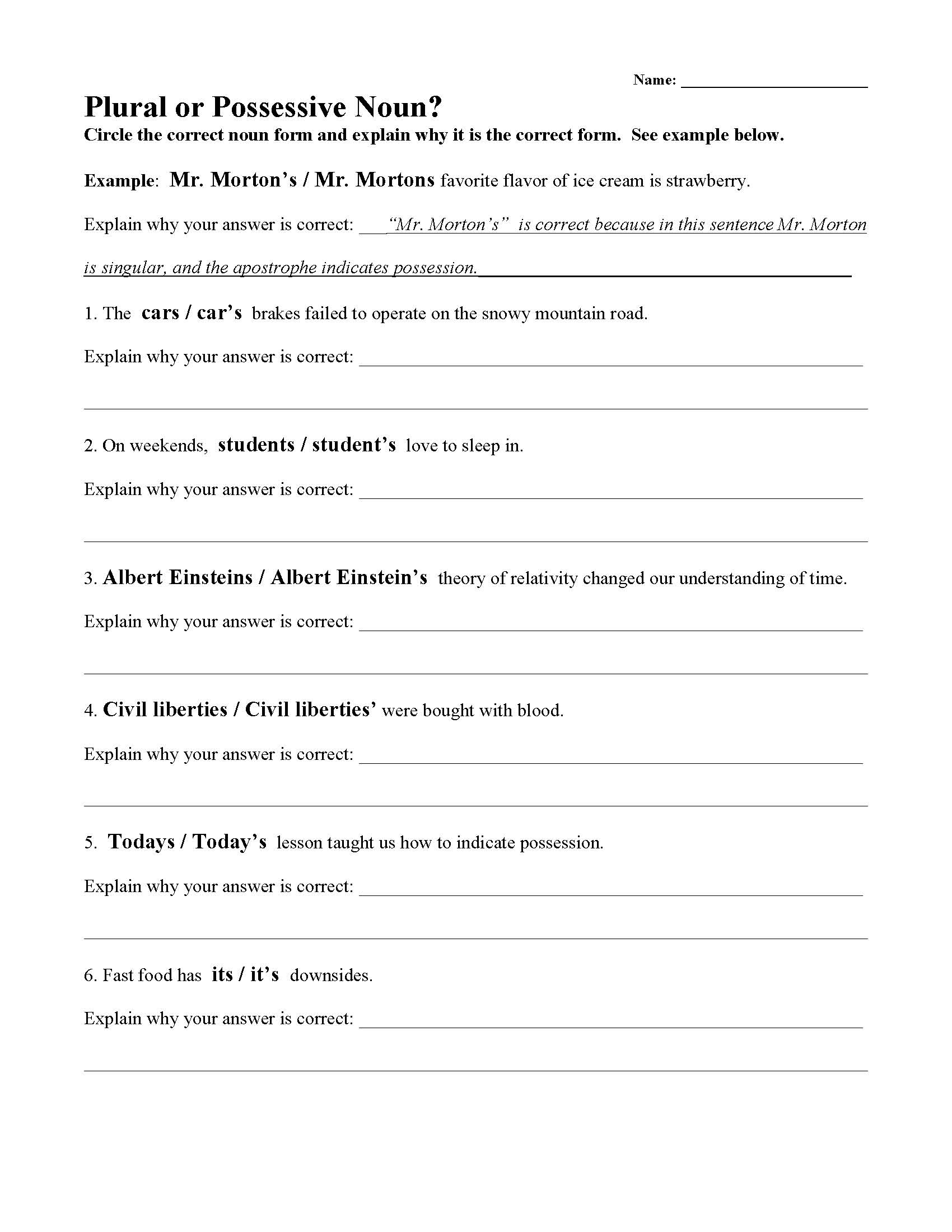 Plural Or Possessive Noun Worksheet Parts Of Speech Activity Plural Or Possessive Noun Worksheet Parts Of Speech Activity
