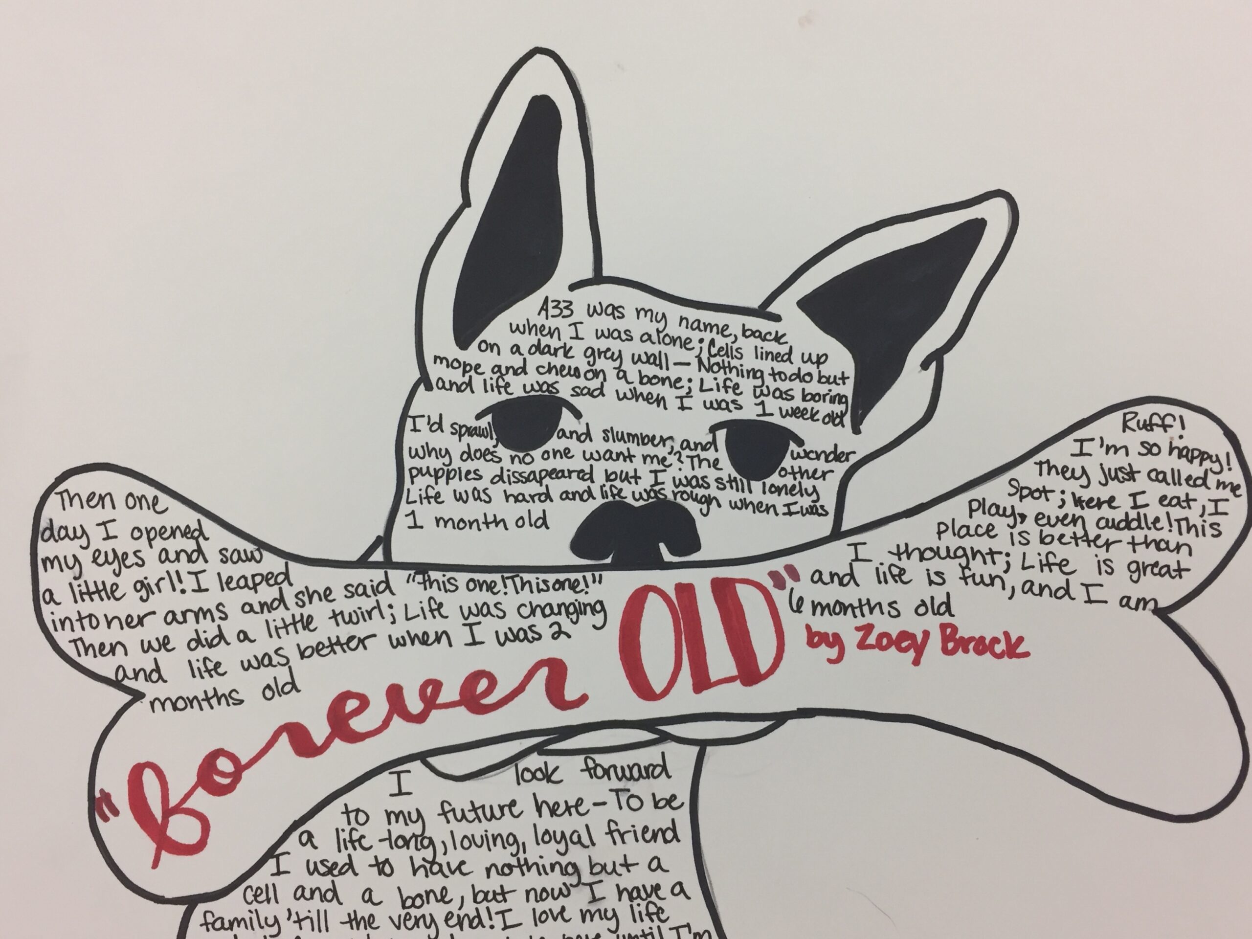 Poetry Lesson Animal Shape Poems Kidsbook Friends Poetry Lesson Animal Shape Poems Kidsbook Friends