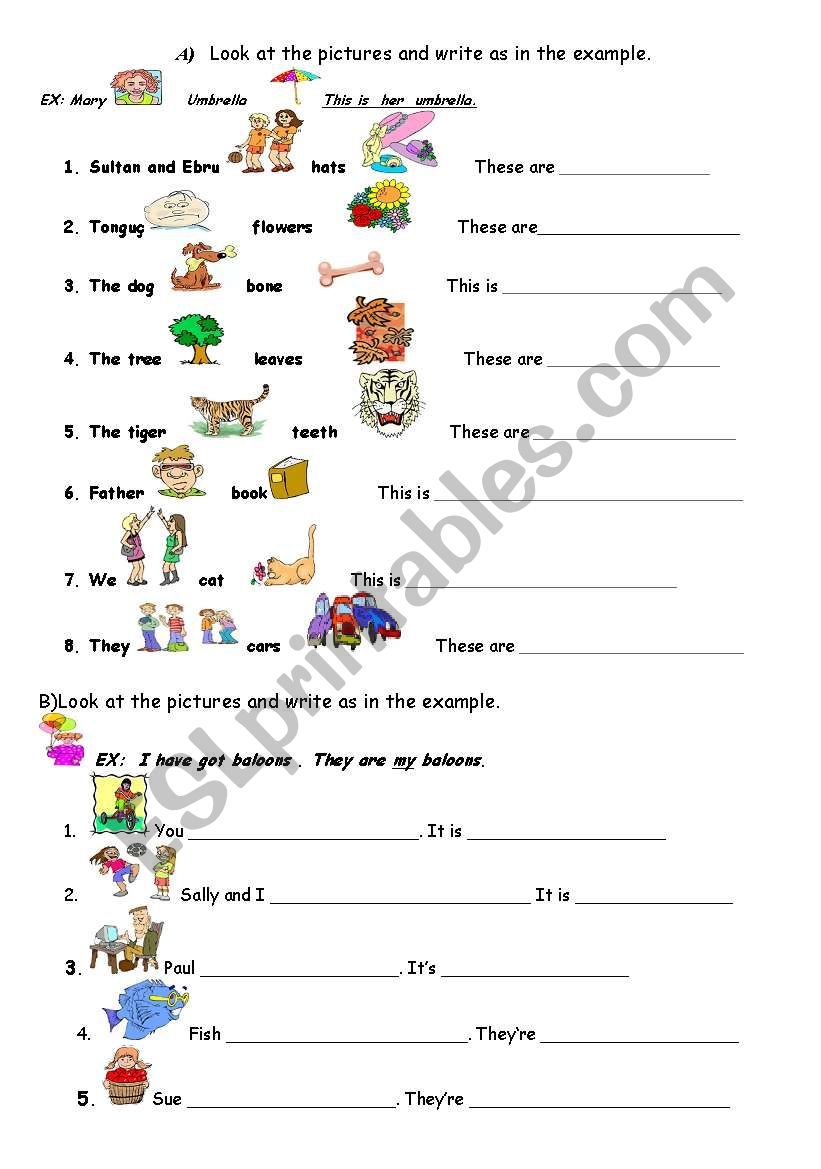 POSSESSIVE ADJECTIVES ESL Worksheet By Ebrucimen Worksheets 