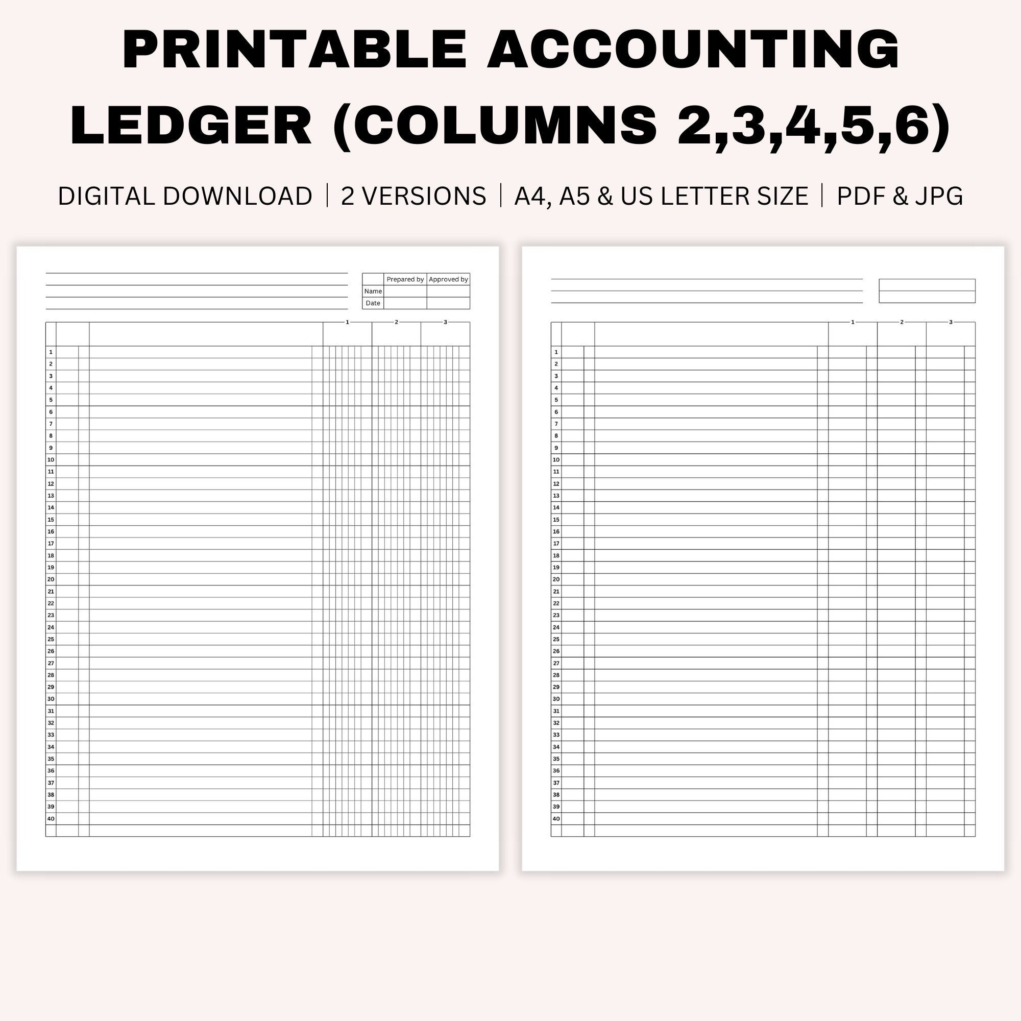 Printable Blank Accounting Ledger Money Ledger Bookkeeping General Ledger Small Business 2 6 Columns Ledger A4 A5 US Letter Size Etsy UK