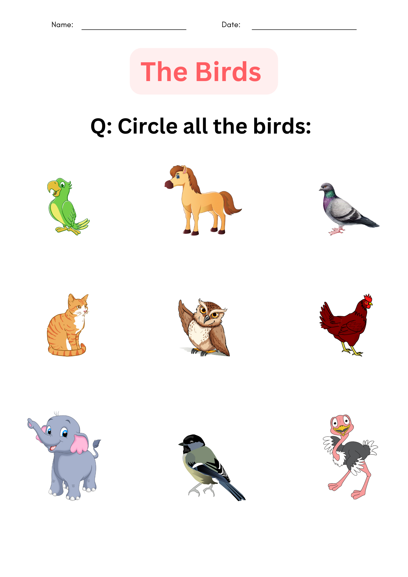 Printable Matching And Identify Birds Worksheet For Kindergarten Made By Teachers