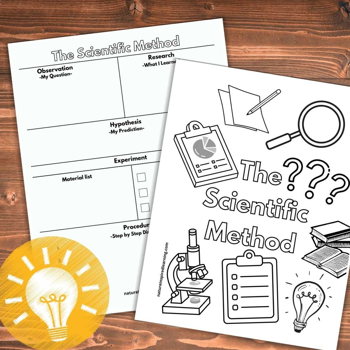 Free Printable Science Method Worksheets