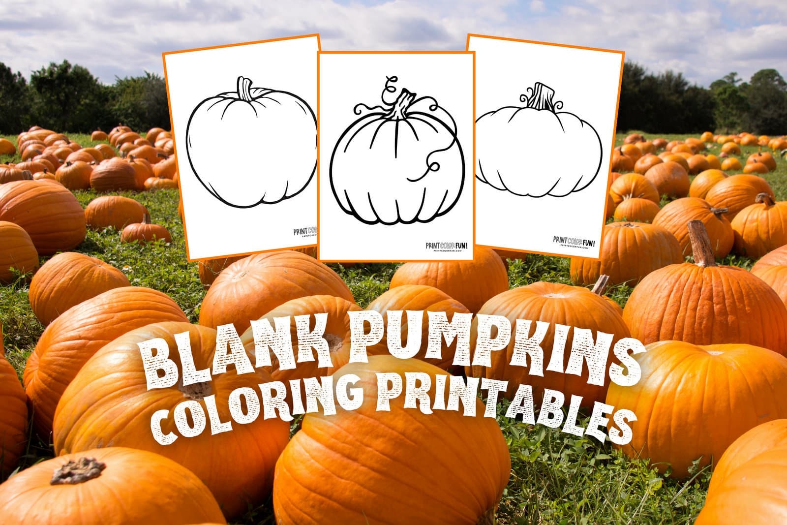 Pumpkin Outline Printables 5 Large Blank Pumpkin Templates For Autumn Fun At PrintColorFun