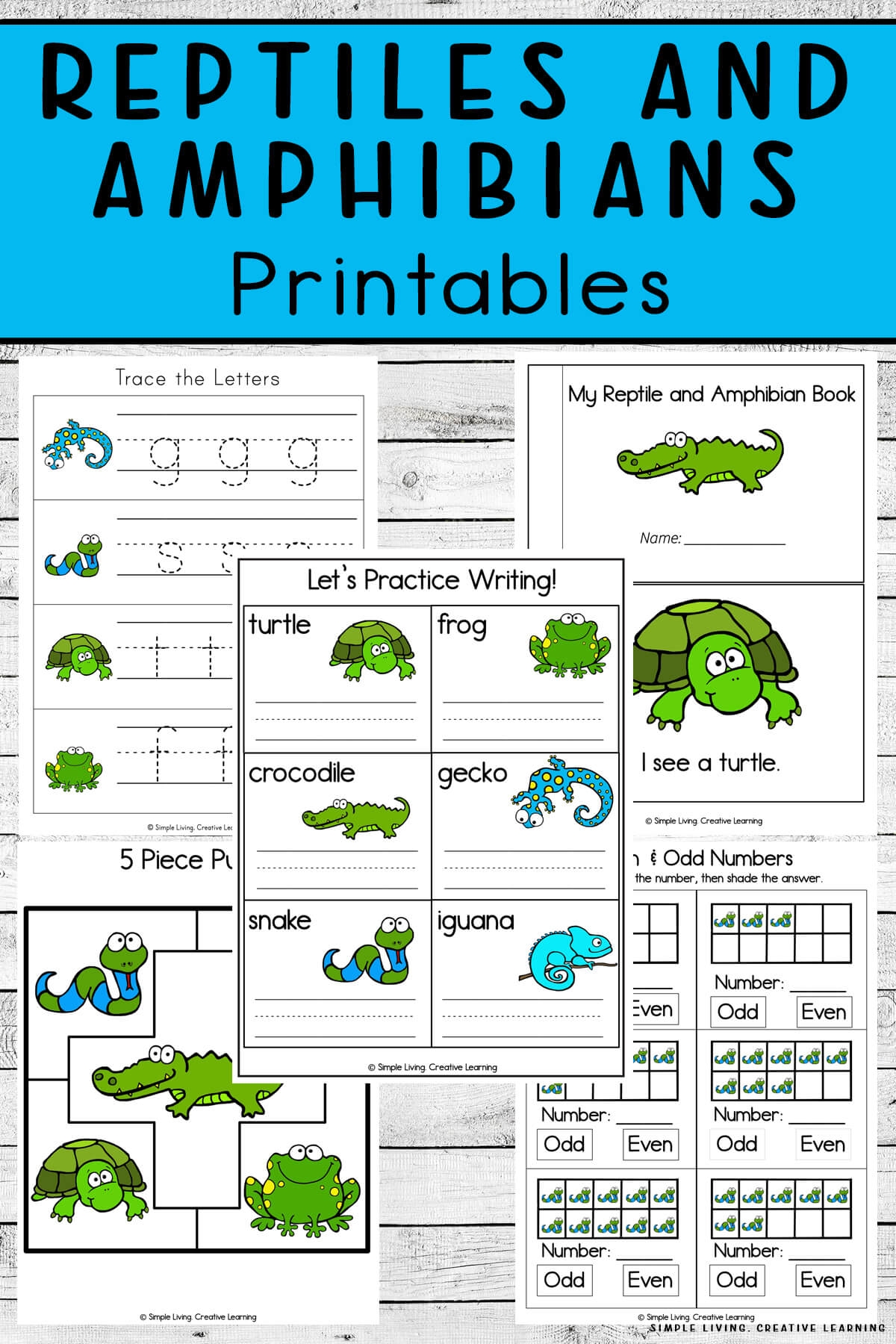 Free Printable Worksheets Amphibians