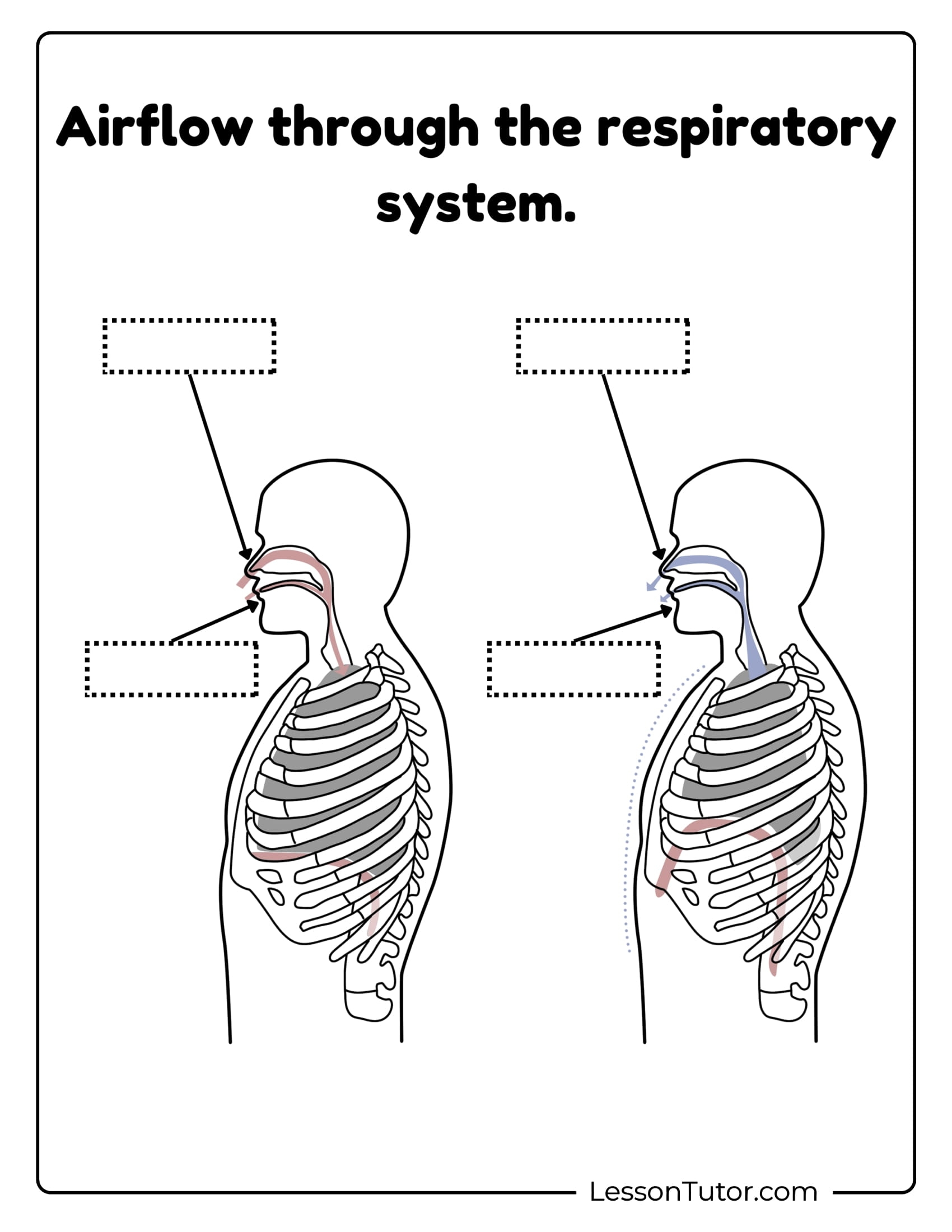 Free Printable Science Worksheets Atmospheric Circulation