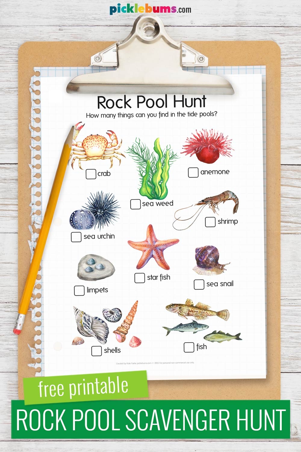 Free Printable Tide Pool Worksheets