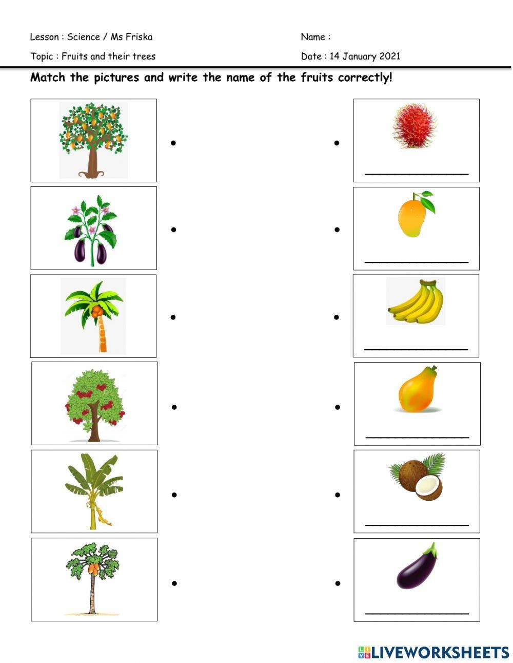 Science Online Exercise For Preschool Live Worksheets 