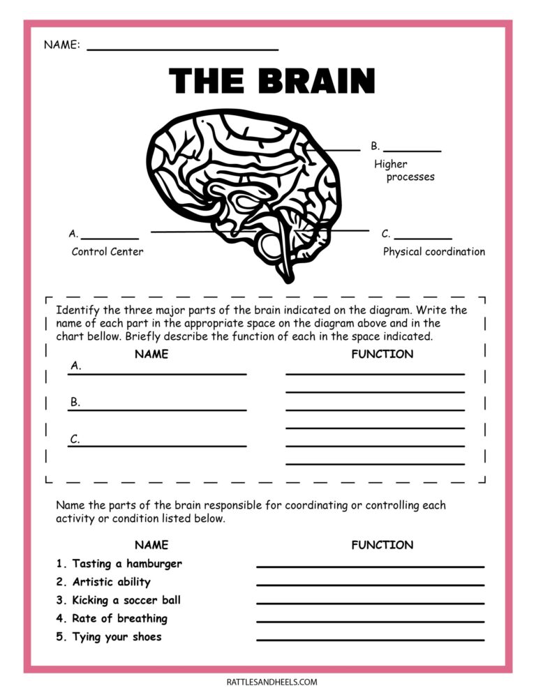 Science Worksheets K5 Learning Worksheets Library