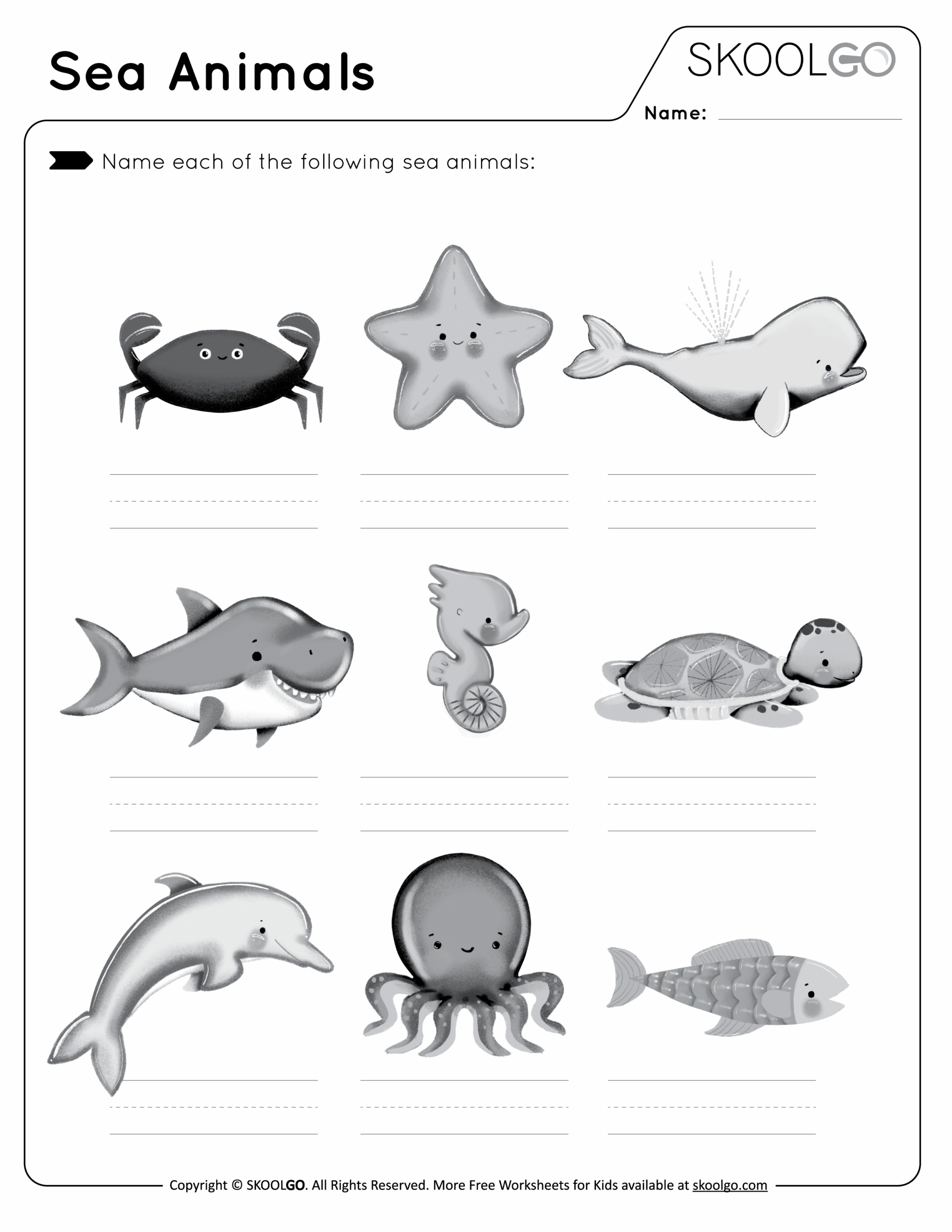 Sea Animal Worksheet Engaging Activities For Oceanic Learning