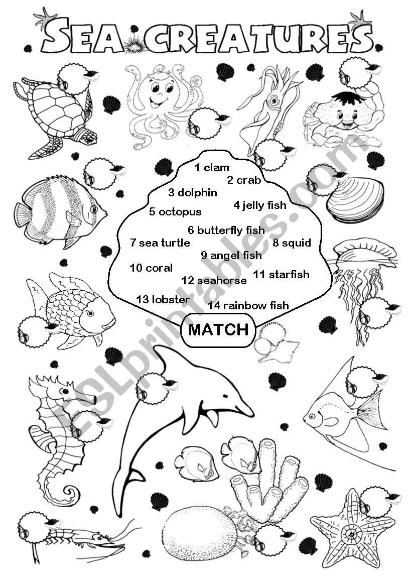 Free Printable Sea Creatures Worksheets