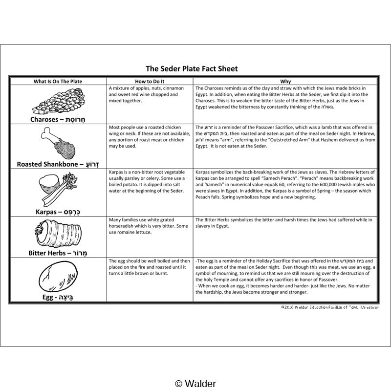 Seder Plate Fact Sheet