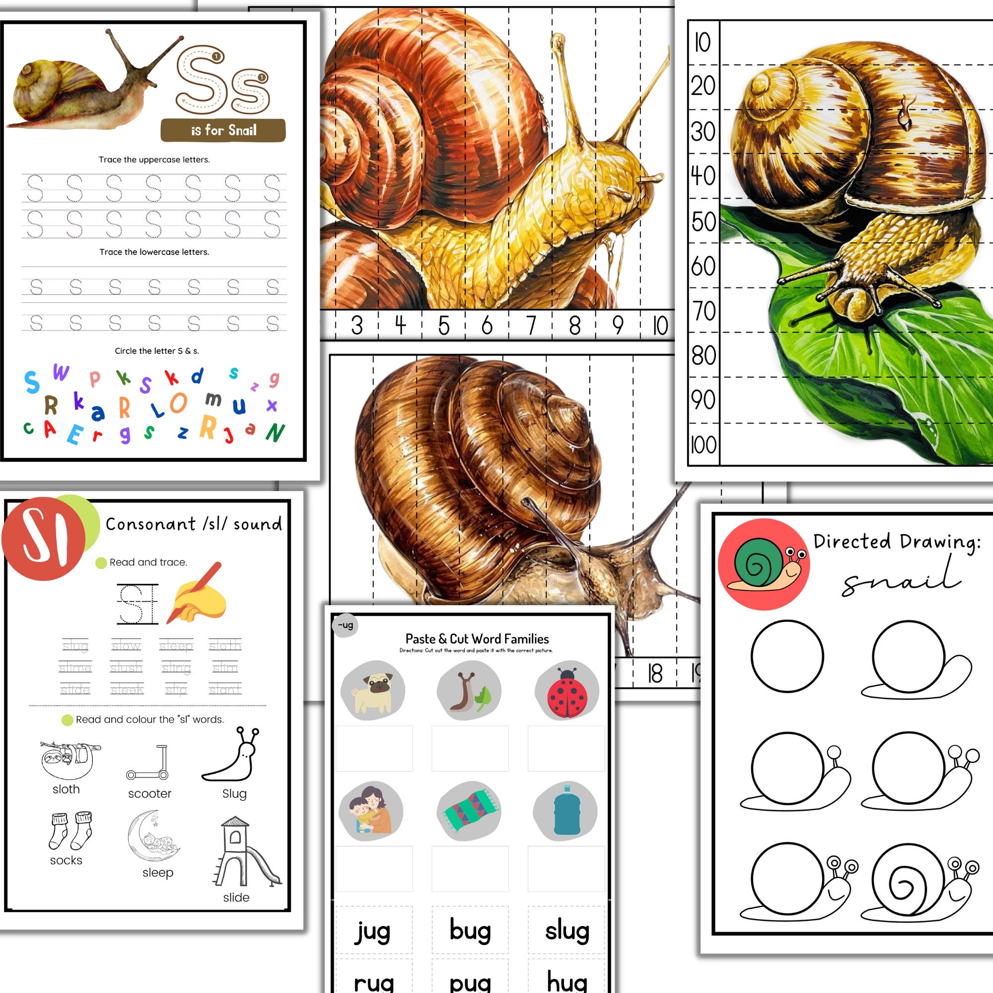 Snail Unit Study Garden Snail Printable Nature Study Summer 