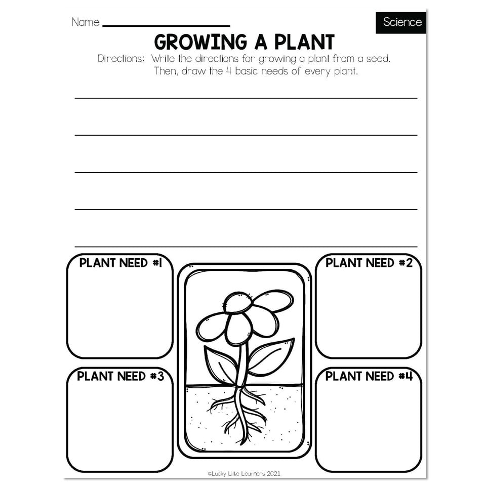 Free Printable Second Grade Science Worksheets Free Printable Second Grade Science Worksheets