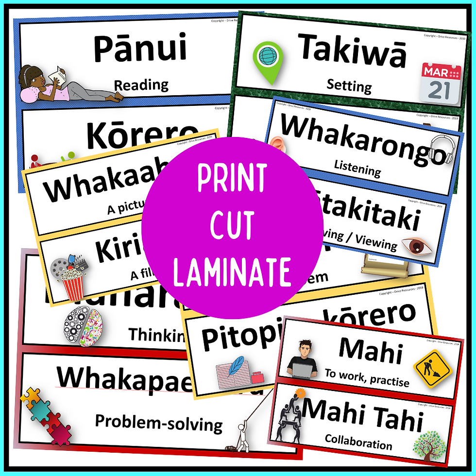 Te Reo Maori Signs For English And 21st C Skills