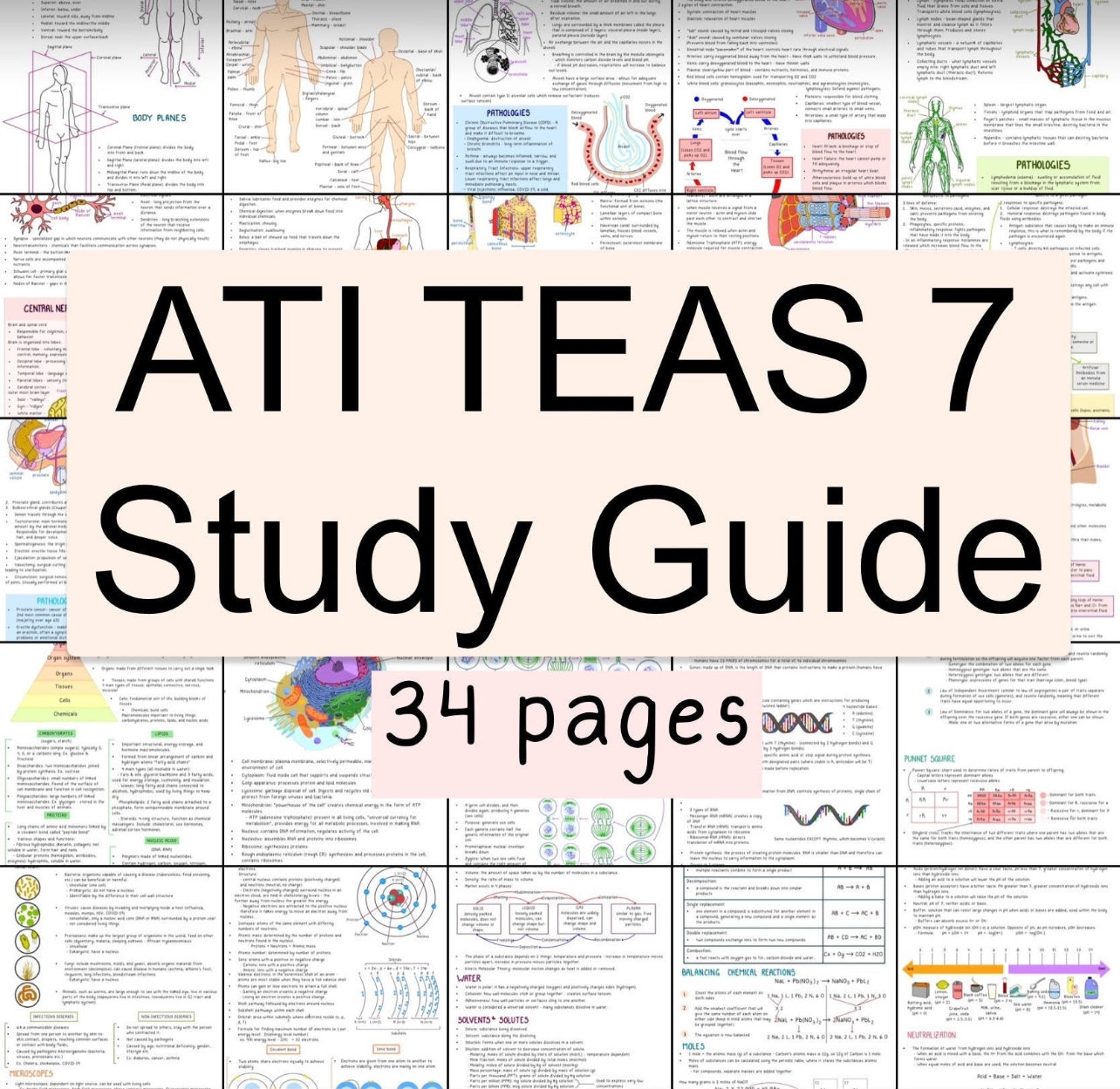 TEAS Study Guide 2023 2024 Etsy