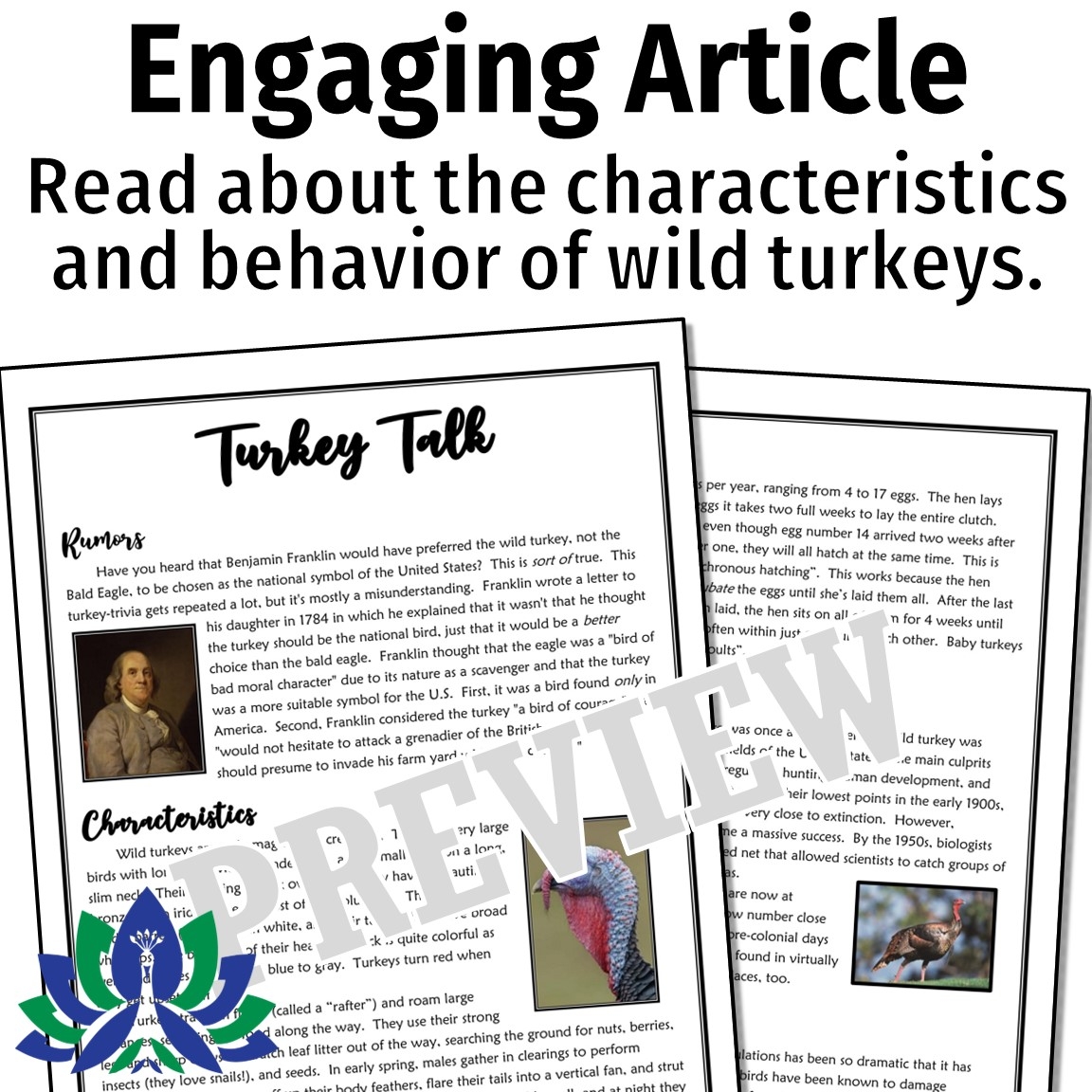 Turkey Reading Comprehension Worksheets