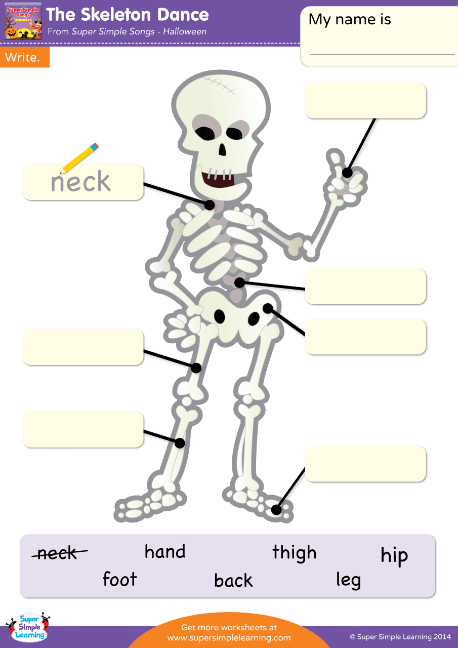 Free Printable Skeleton Worksheets