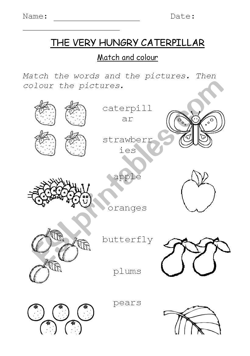 The Very Hungry Caterpillar Match And Color ESL Worksheet By 