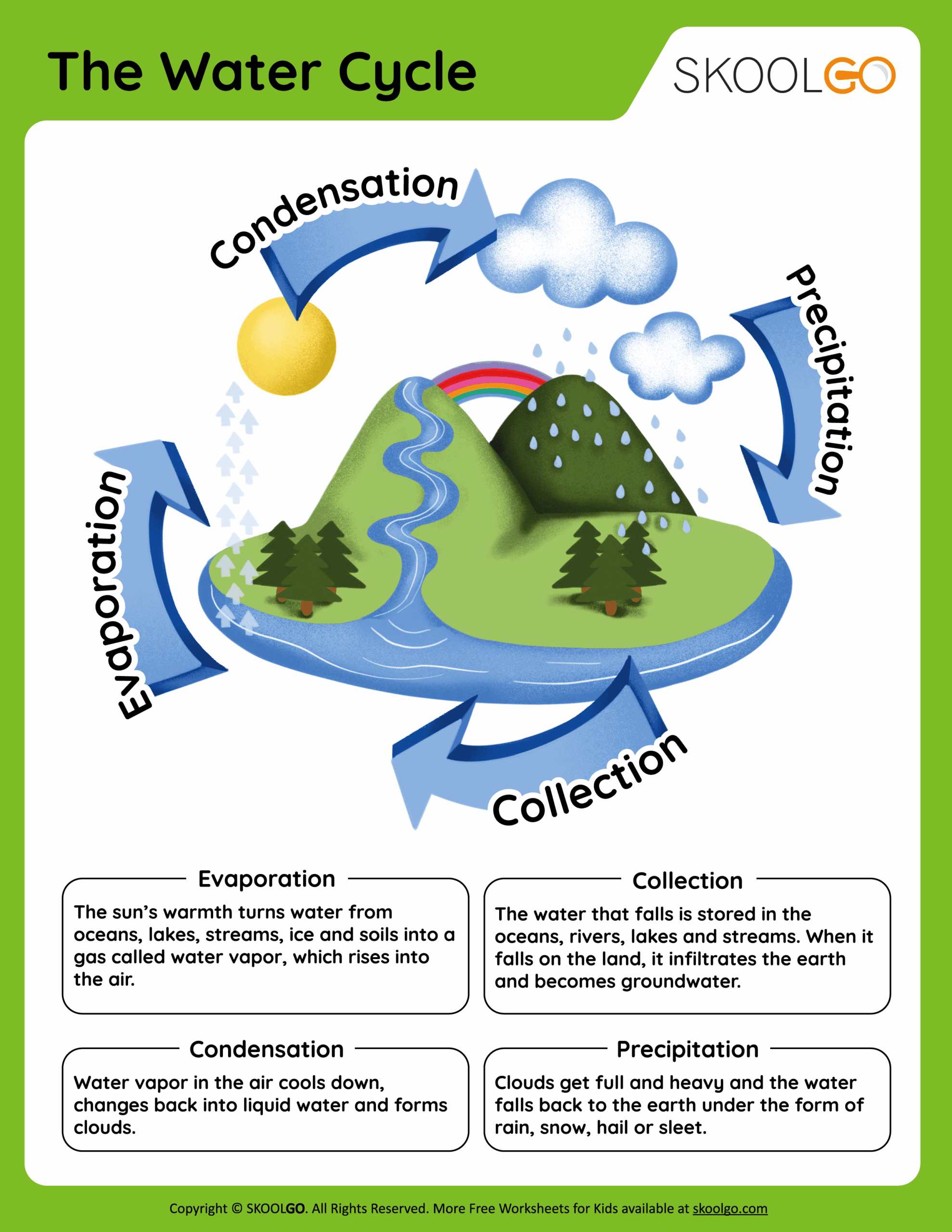 The Water Cycle Free Worksheet SKOOLGO