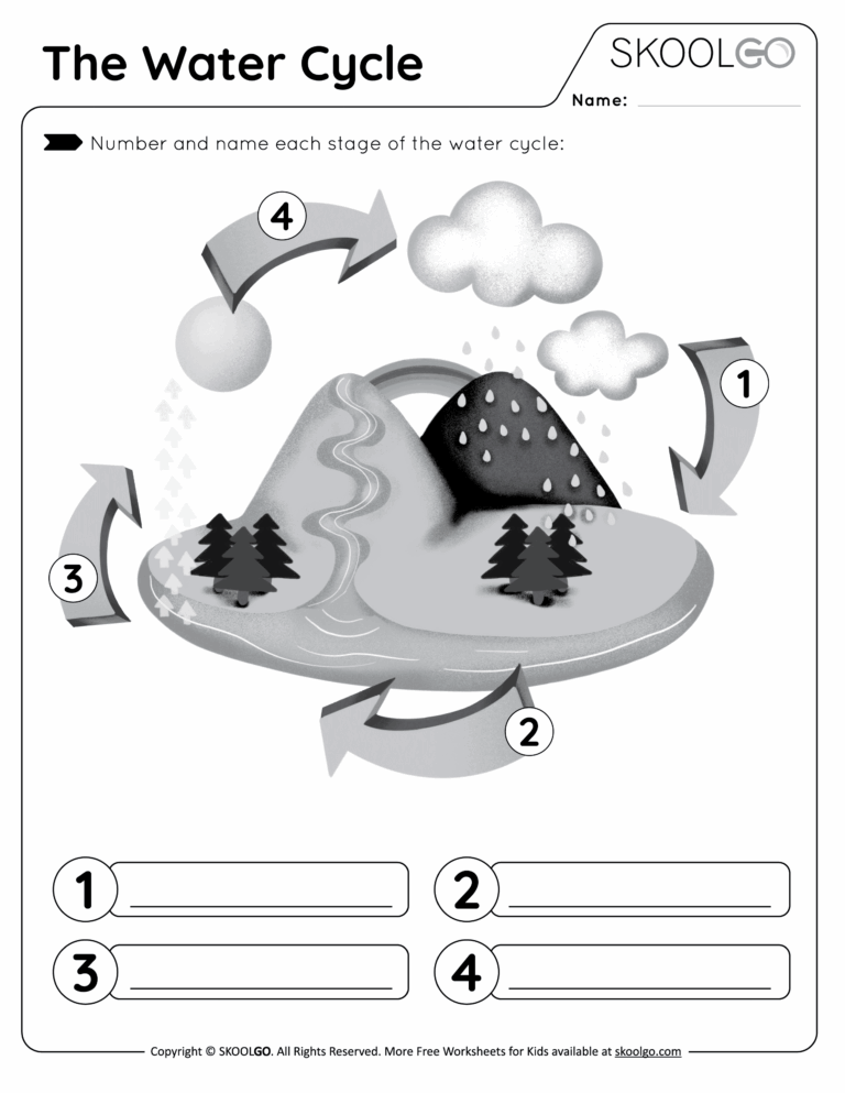 The Water Cycle Free Worksheet SKOOLGO