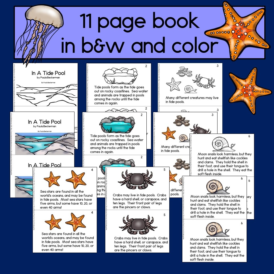 Tide Pools Non fiction Book Reading Comprehension And Photographs