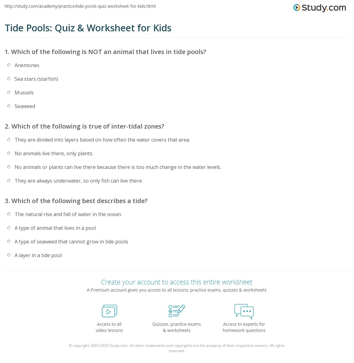 Tide Pools Quiz U0026 Worksheet For Kids Study