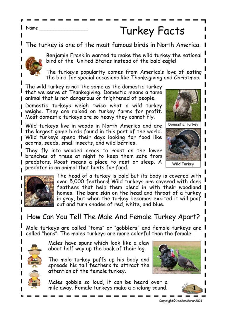 Turkey Facts Reading Comprehension Passages