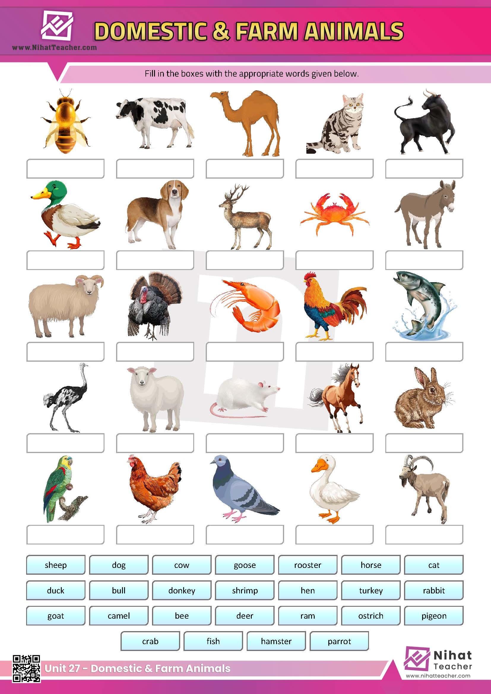 Unit 27 Domestic And Farm Animals Worksheet 1 Free English 
