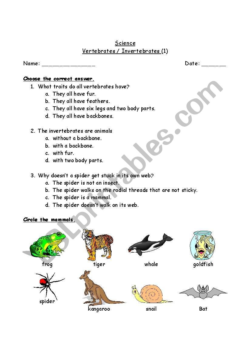 Free Printable Worksheets 4th Grade Vertebrates