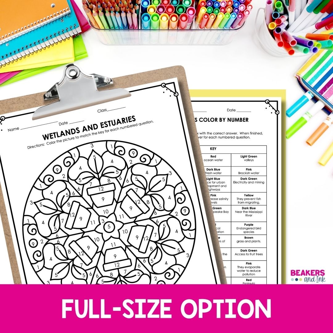 Free Printable Wetland Worksheets