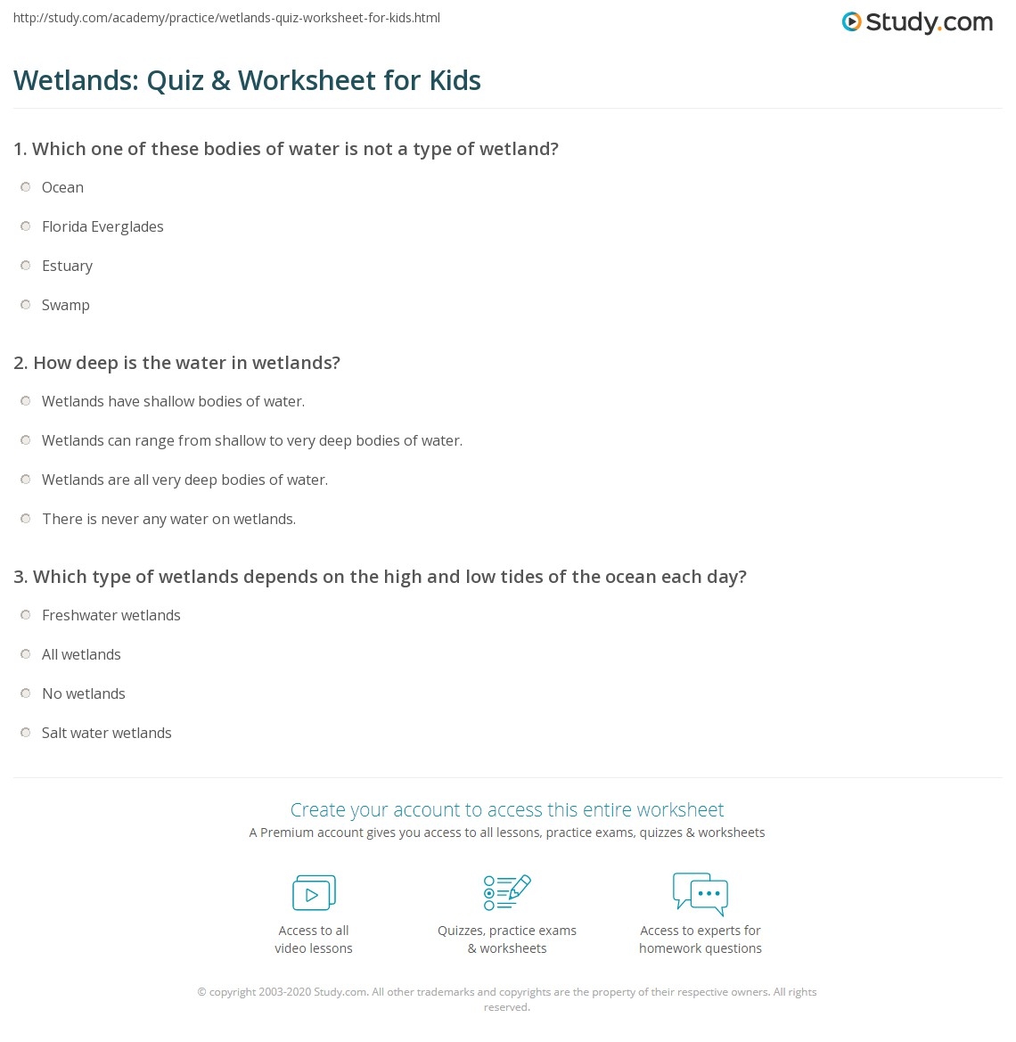 Wetlands Quiz U0026 Worksheet For Kids Study