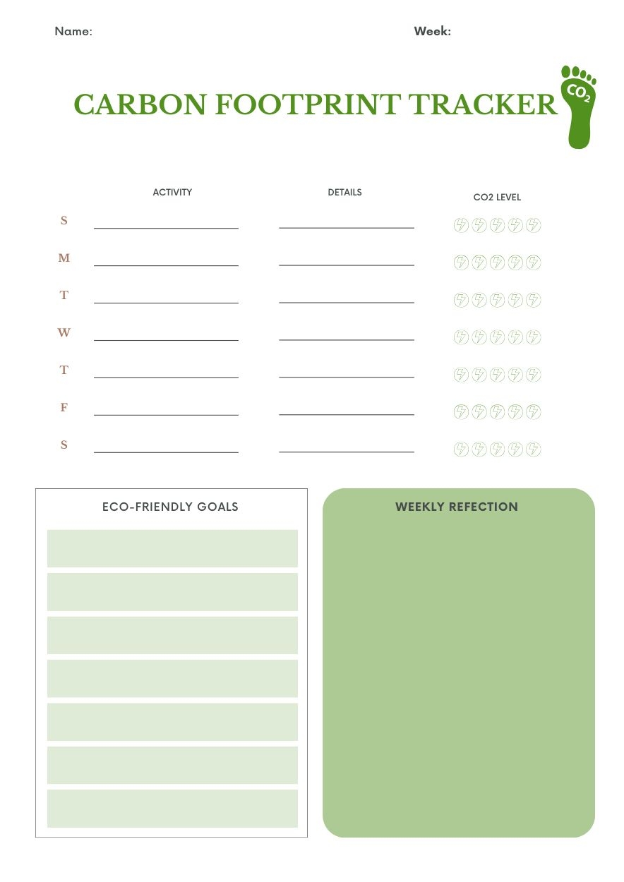 Carbon Footprint Printable Worksheet