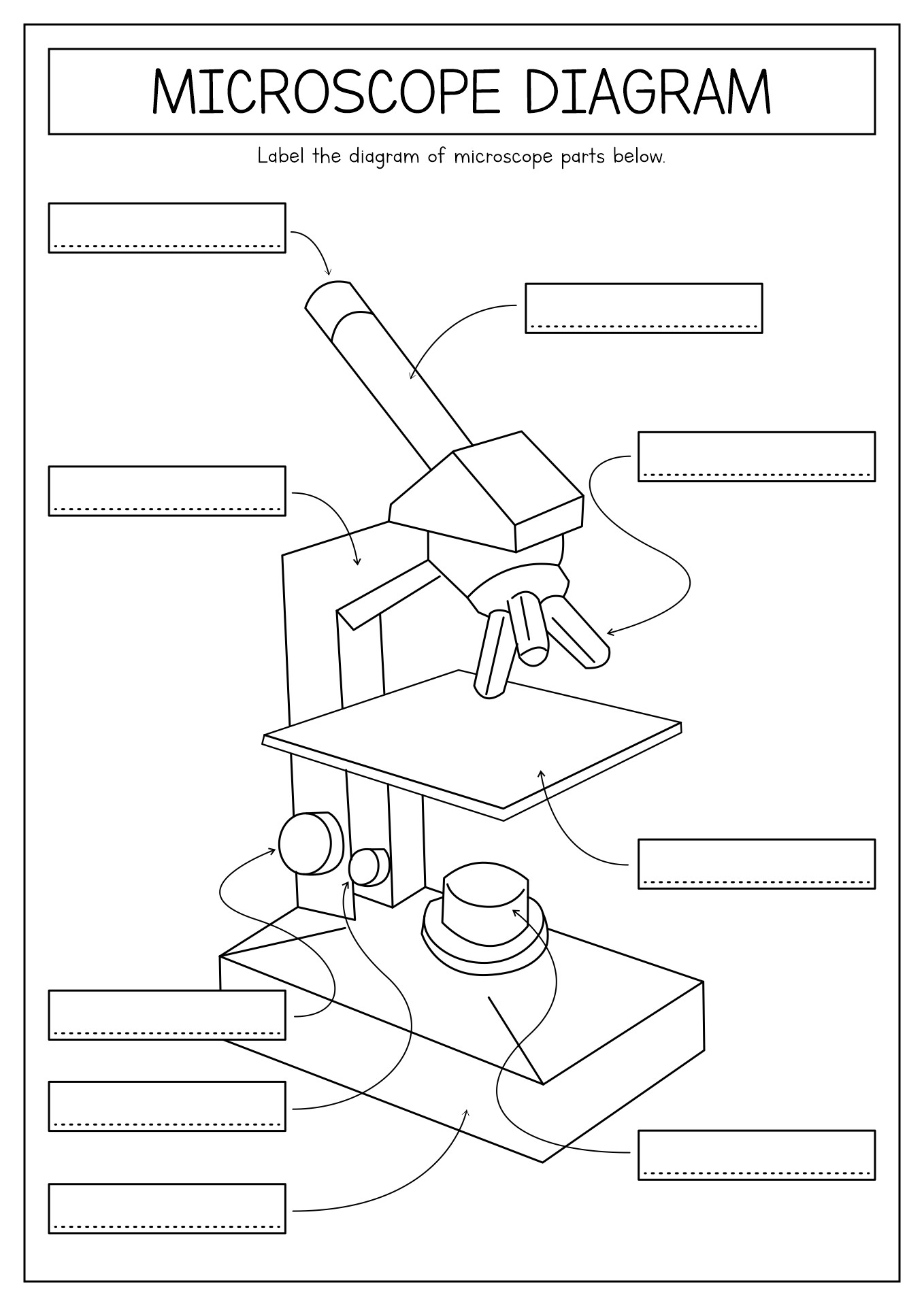 15 Printable Microscope Worksheet Free PDF At Worksheeto
