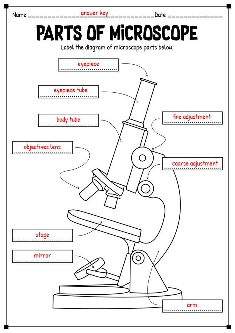 15 Printable Microscope Worksheet Free PDF At Worksheeto