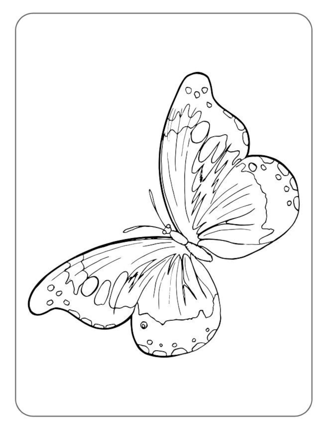 40 Butterfly Coloring Pages 40 Printable Butterfly Coloring Pages For Children Instant Digital Download Etsy