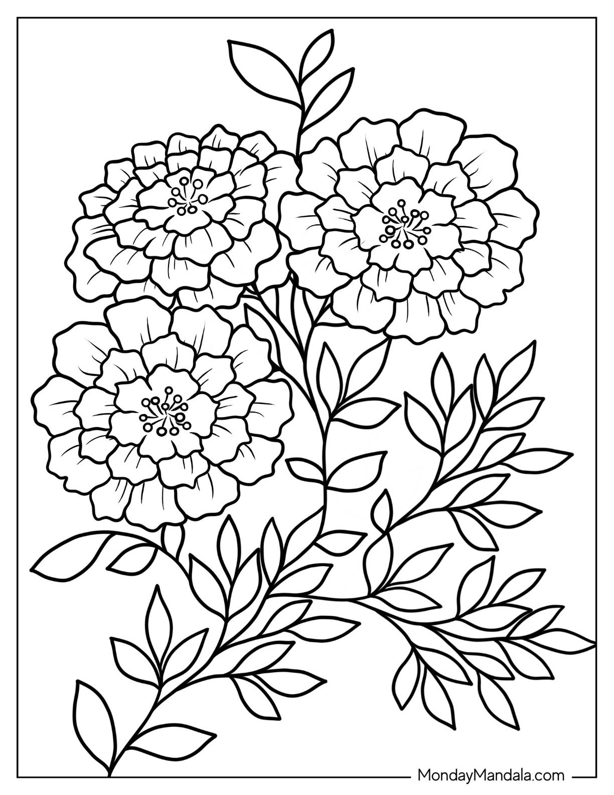 53 Flower Coloring Pages Free PDF Printables 